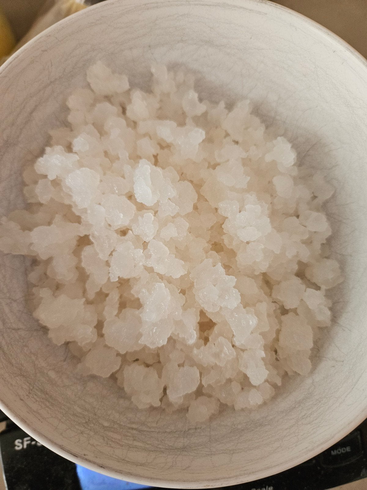 Waterkefir korrels, 50 gram, Diversen, Levensmiddelen, Ophalen