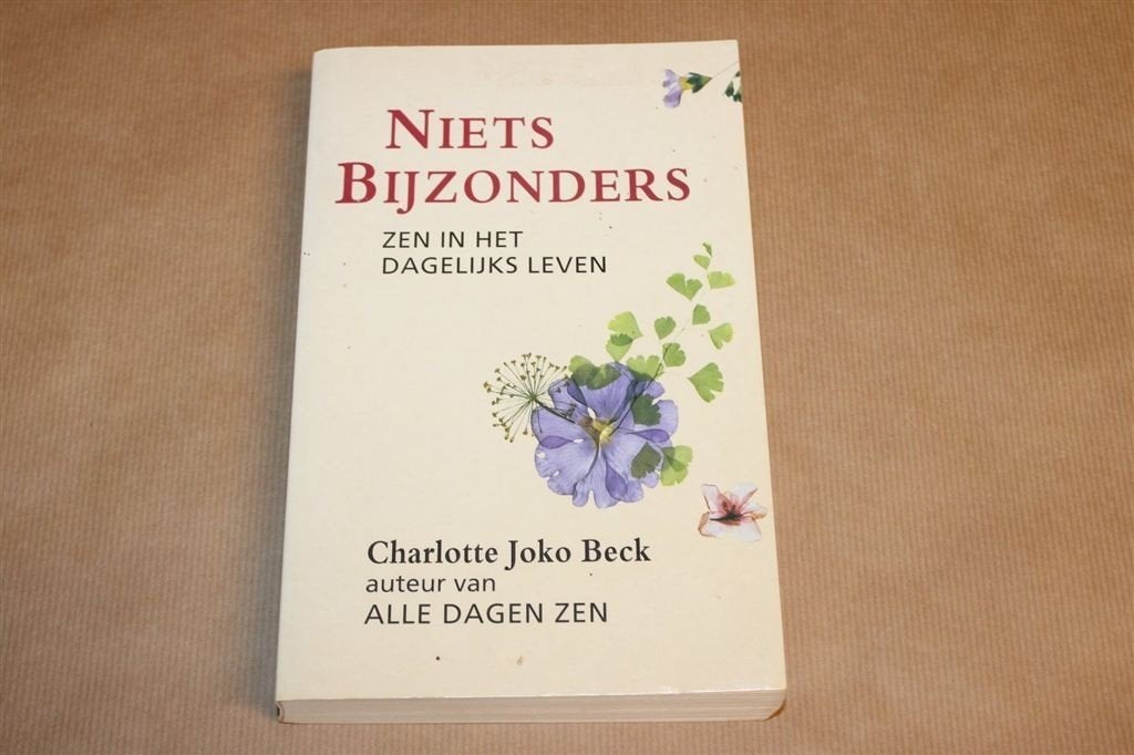 Niets Bijzonders — Zen-meditatie, Charlotte Joko Beck, Ophalen of Verzenden, Gelezen, Overige onderwerpen, Achtergrond en Informatie