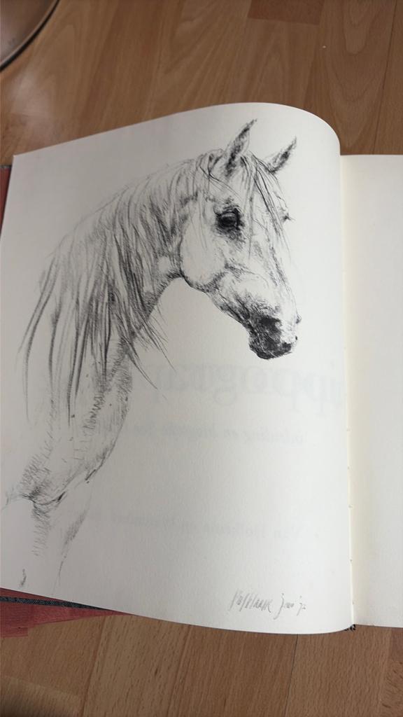 Concours hippographique Piet Klaasse, Ophalen of Verzenden, Gelezen, Overige onderwerpen
