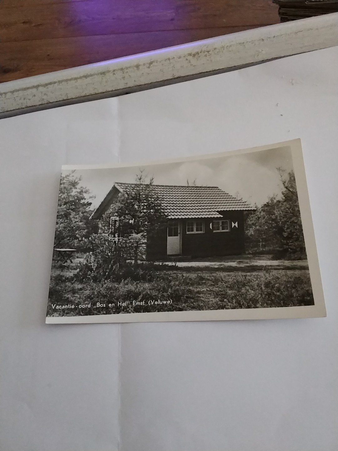 Oude ansichtkaart Vakantie-oord "Bos en Hei" Emst (Veluwe), Ophalen of Verzenden, 1940 tot 1960, Ongelopen, Gelderland