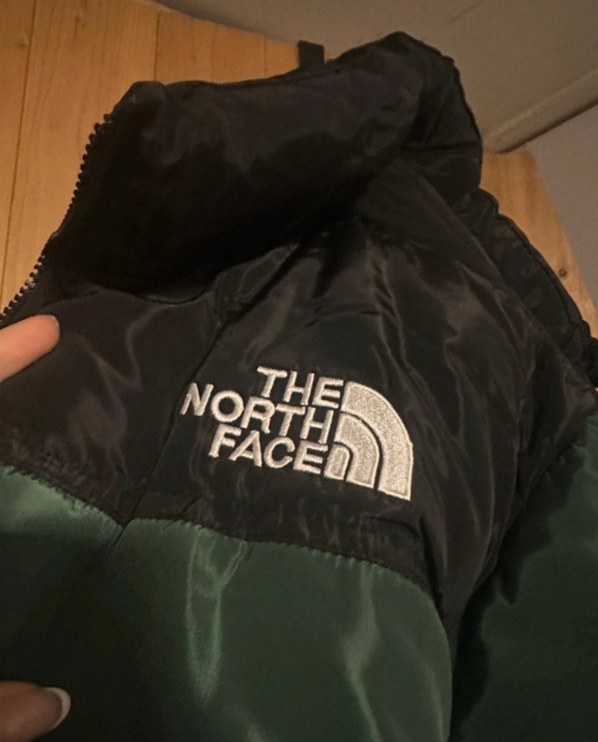 The North face jas, Kleding | Heren, Jassen | Winter, Ophalen of Verzenden, Nieuw, Maat 52/54 (L), Groen