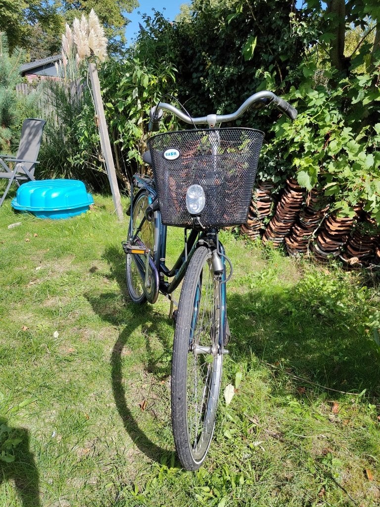 Damesfiets Batavus met mandje, Fietsen en Brommers, Ophalen, Terugtraprem, Gebruikt, 47 tot 50 cm
