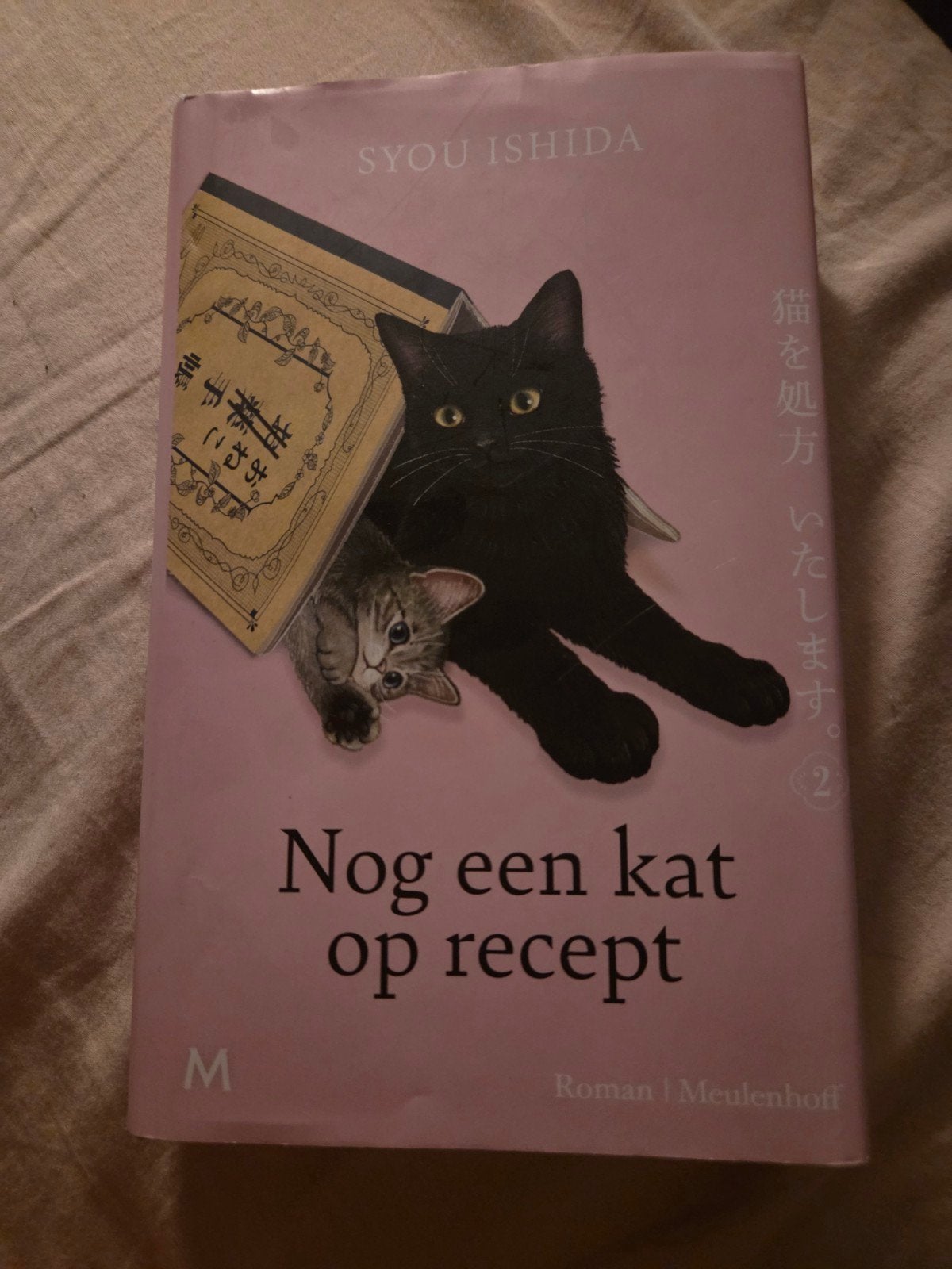Nog een kat op recept - Syou Ishida (Roman), Ophalen of Verzenden, Zo goed als nieuw, Syou Ishida, Nederland