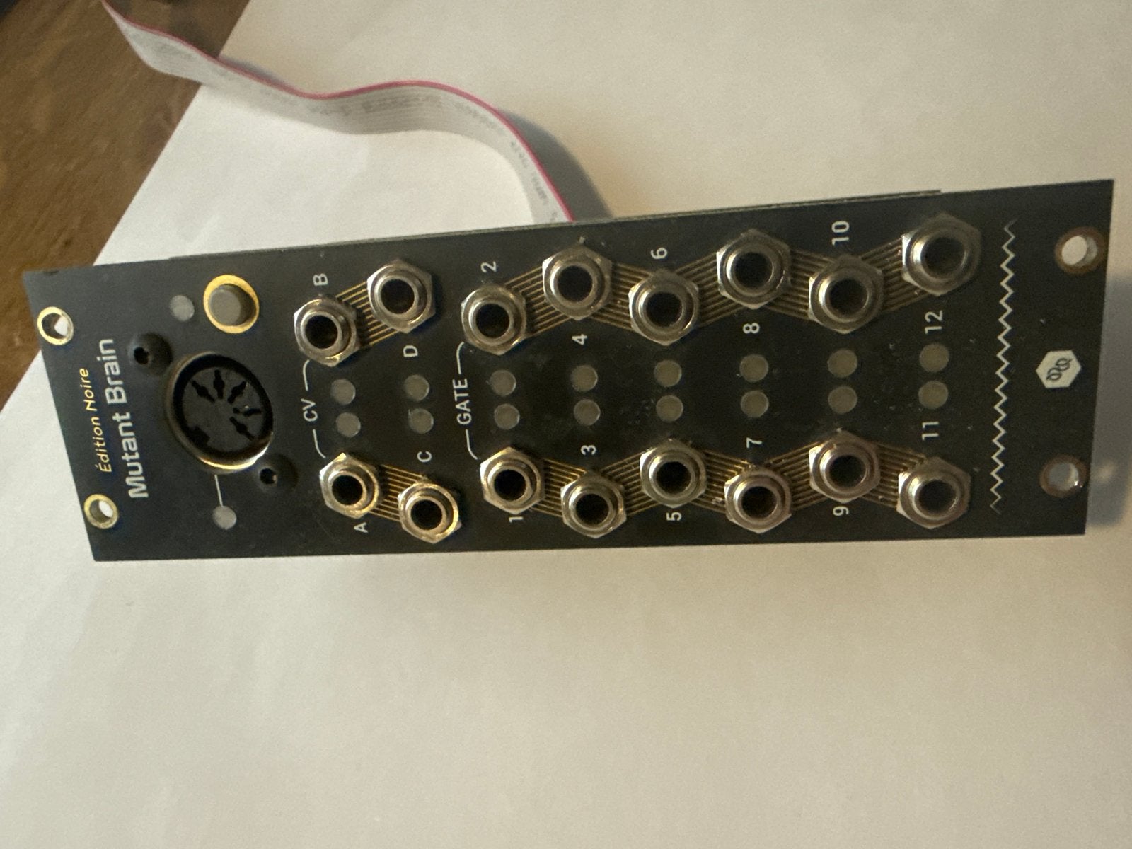 Mutable Instruments Mutant Brain Eurorack MIDI naar CV/Gate, Overige merken, Zo goed als nieuw, Met midi-aansluiting, Overige aantallen