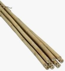 Tonkin stokken 305cm, Ophalen, Nieuw, 250 cm of meer, Palen