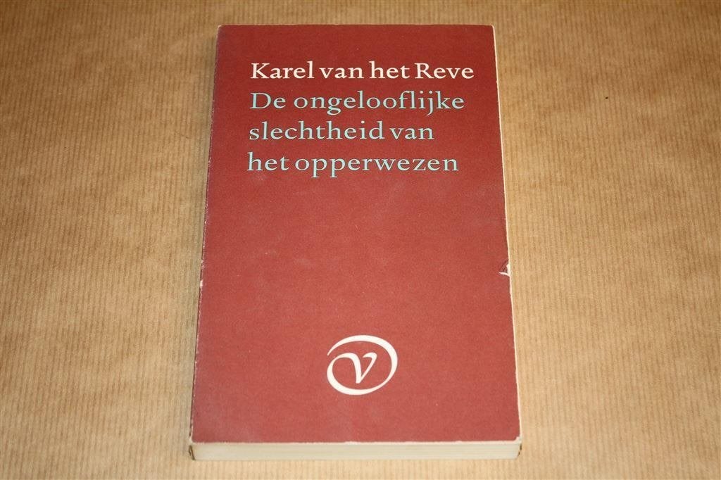 De ongelooflijke slechtheid van het opperwezen. Reve., Boeken, Ophalen of Verzenden, Gelezen