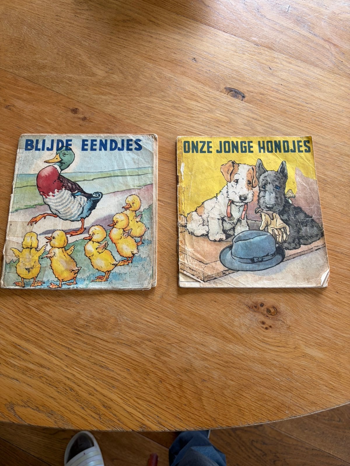 Blijde eendjes en onze jonge hondjes, Ophalen of Verzenden