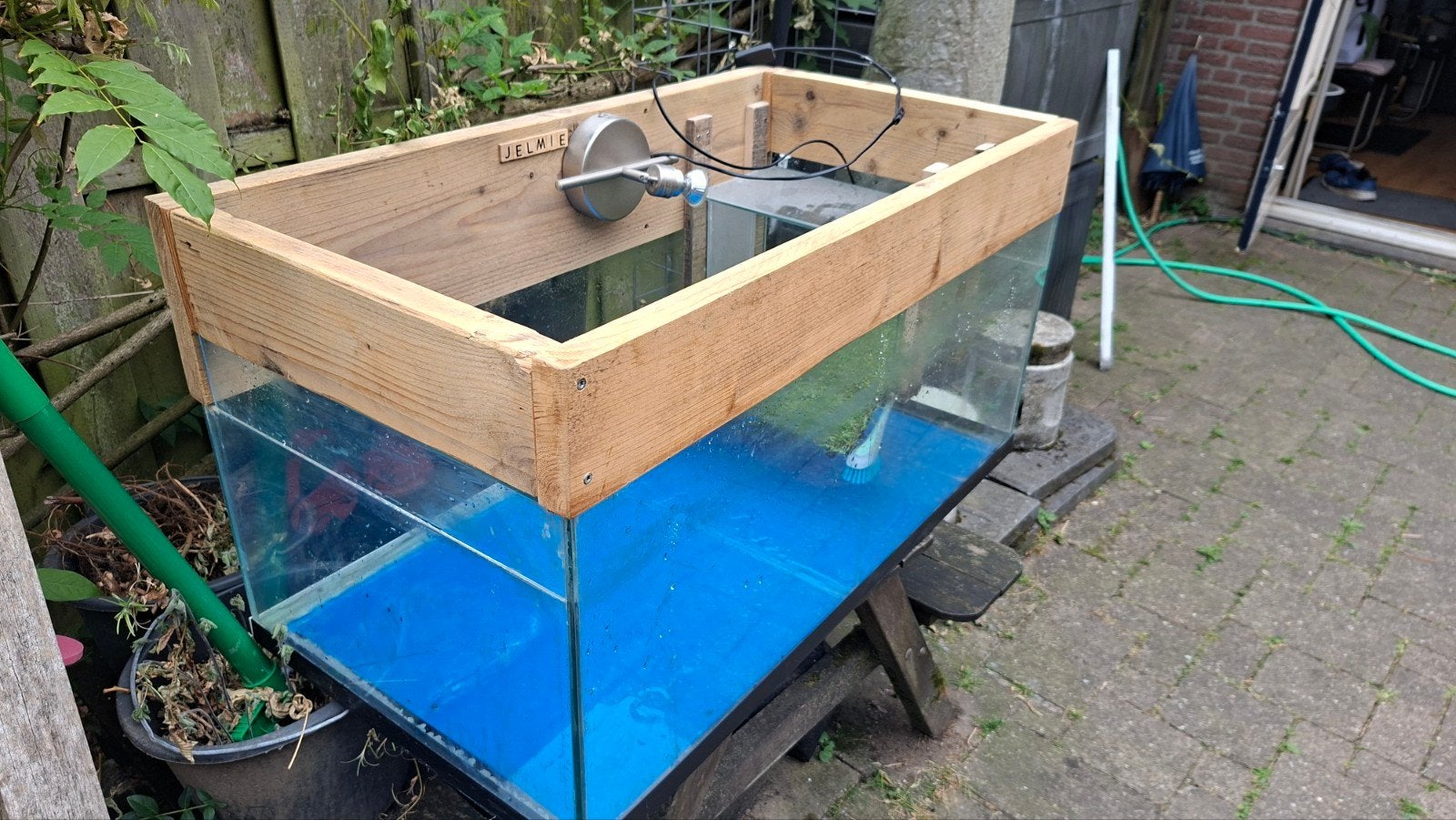 Schildpadden bak, Ophalen of Verzenden, Leeg aquarium