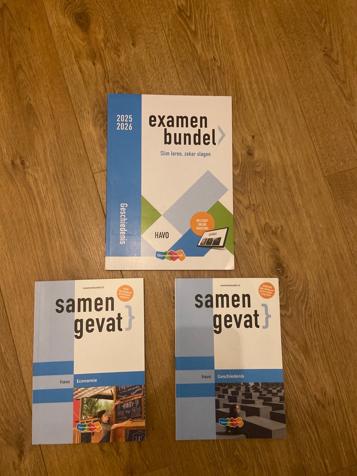 Examenbundel en Samengevat HAVO Geschiedenis & Economie, Boeken, Ophalen of Verzenden, Zo goed als nieuw, HAVO, Geschiedenis