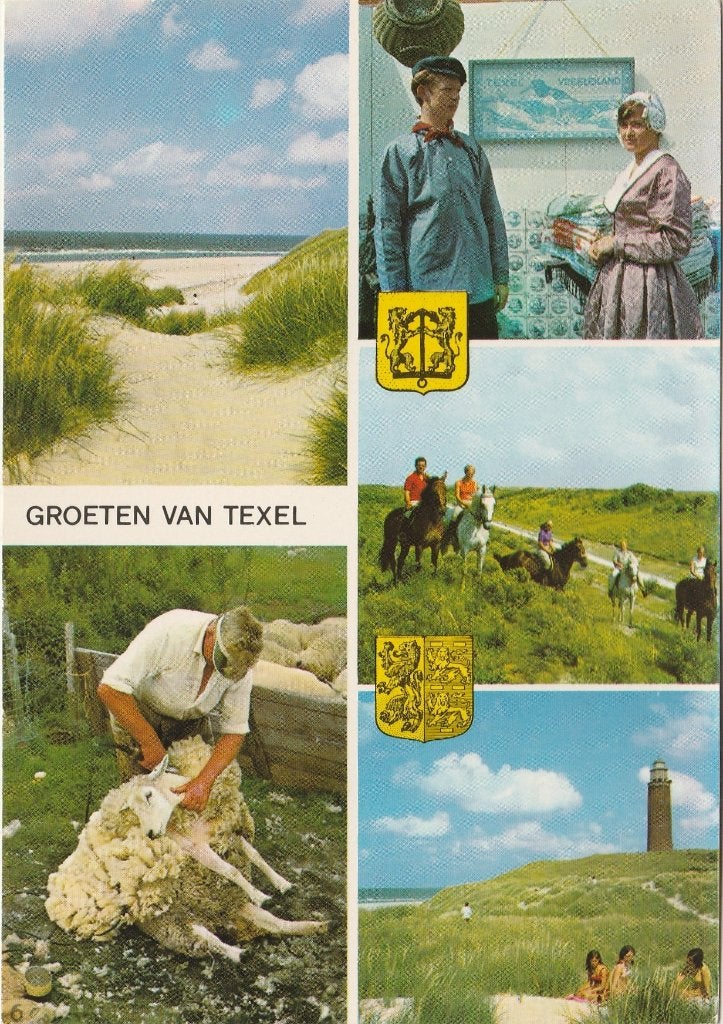 TEXEL Duin Schapen Scharen Klederdracht Groeten, Verzenden, 1960 tot 1980, Gelopen, Waddeneilanden