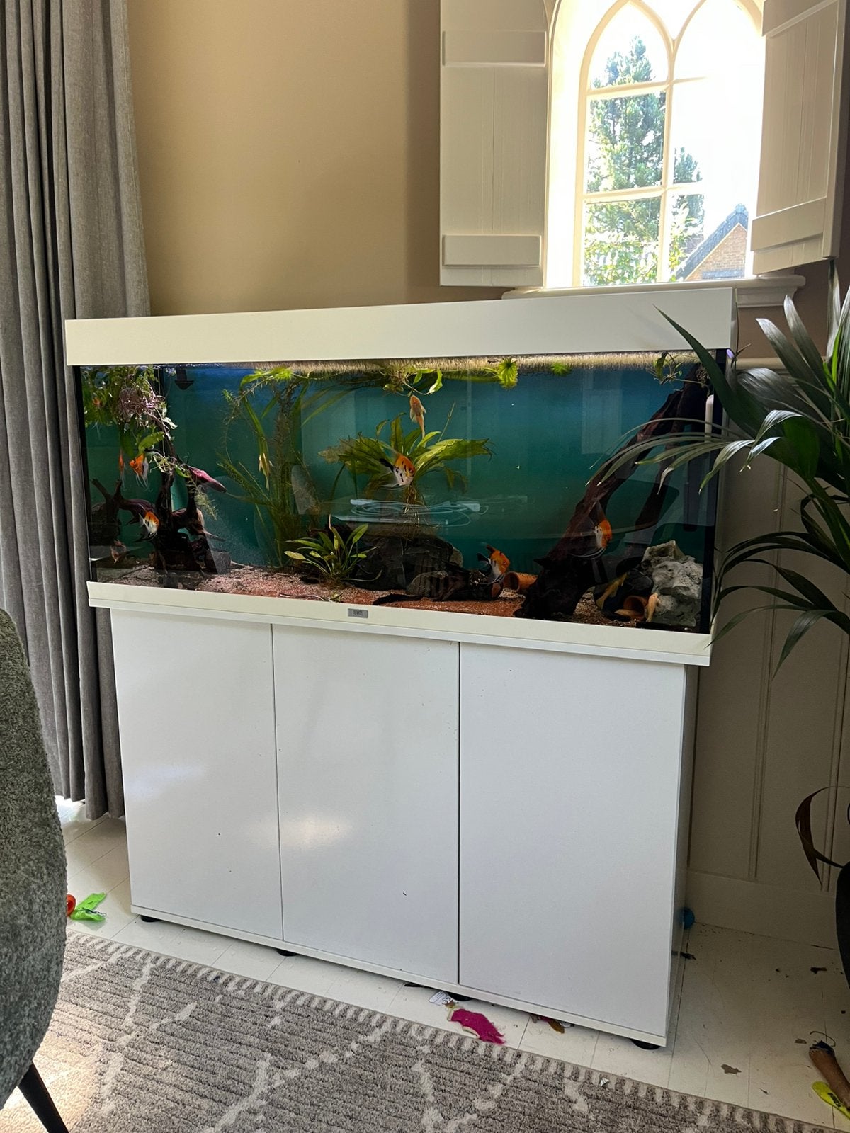 juwel 240 liter aquarium helialux pomp etc Mega lage prijs!, Dieren en Toebehoren, Ophalen, Inclusief deksel, Zo goed als nieuw