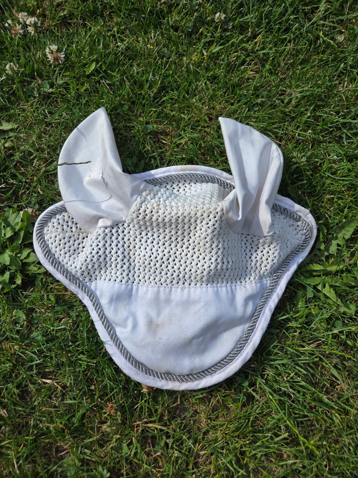 Oornetje wit mt Full, Dieren en Toebehoren, Ophalen of Verzenden, Dressuur
