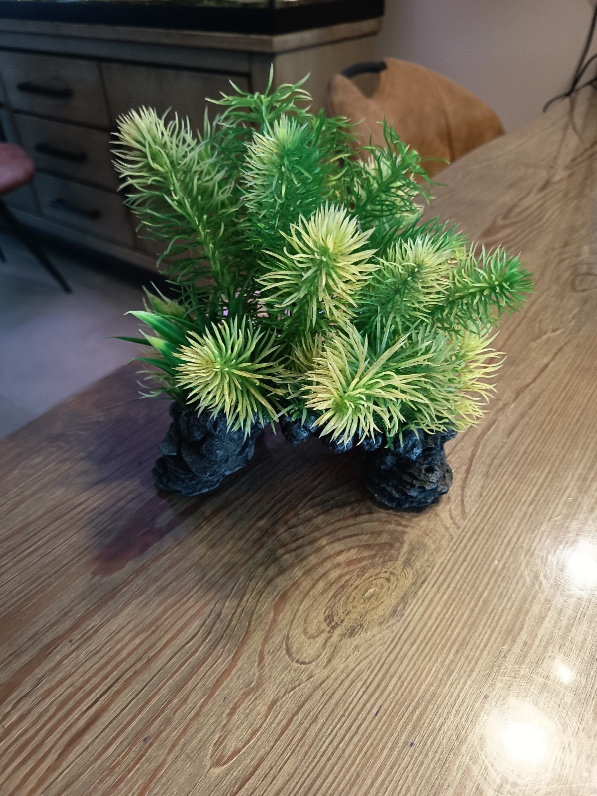 kunstplant, Ophalen of Verzenden, Zo goed als nieuw, Decoratie, Superfish