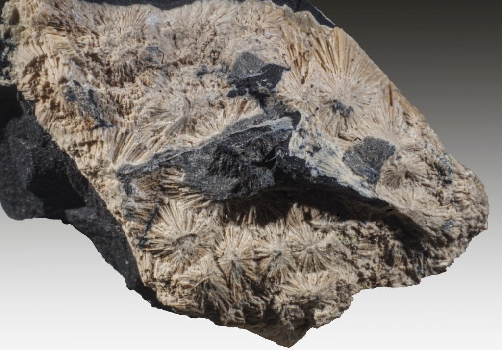 CRANDALLIET kristallen uit Blaton, België., Ophalen of Verzenden, Mineraal