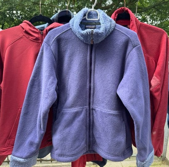 Patagonia Synchilla Fleece Jacket, Ophalen of Verzenden, Zo goed als nieuw, Maat 42/44 (L), Paars