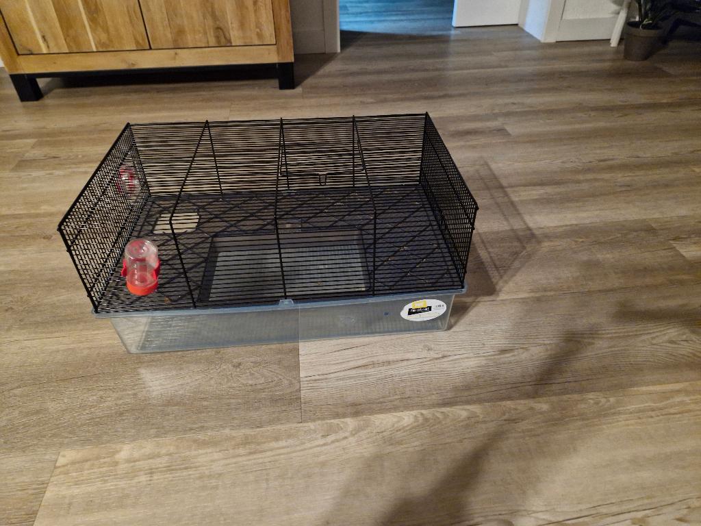 Kooi rat/hamstertje, Minder dan 75 cm, Zo goed als nieuw, Ophalen, Minder dan 60 cm