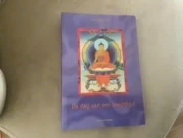De dag van een Boeddhist - Spiritueel boek, Boeken, Achtergrond en Informatie, Spiritualiteit algemeen, Ophalen of Verzenden, Onbekend