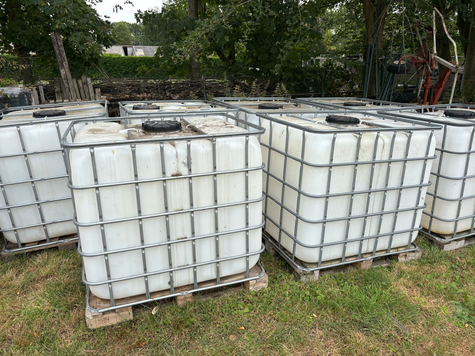 IBC Vaten 1000 liter met kraan, Ophalen, Kunststof, Gebruikt, Met kraantje