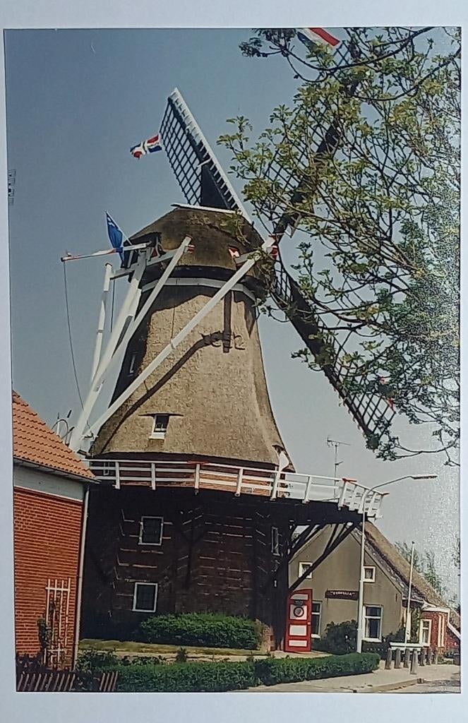 foto Thesinge ( Gr. ) foto Molen Germania 1988, Verzenden, 1980 tot heden, Foto, Zo goed als nieuw
