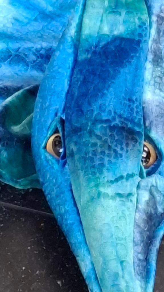 Dino pak Efteling maat 4-5 jaar, Kinderen en Baby's, Carnavalskleding en Verkleedspullen, Ophalen of Verzenden, Zo goed als nieuw
