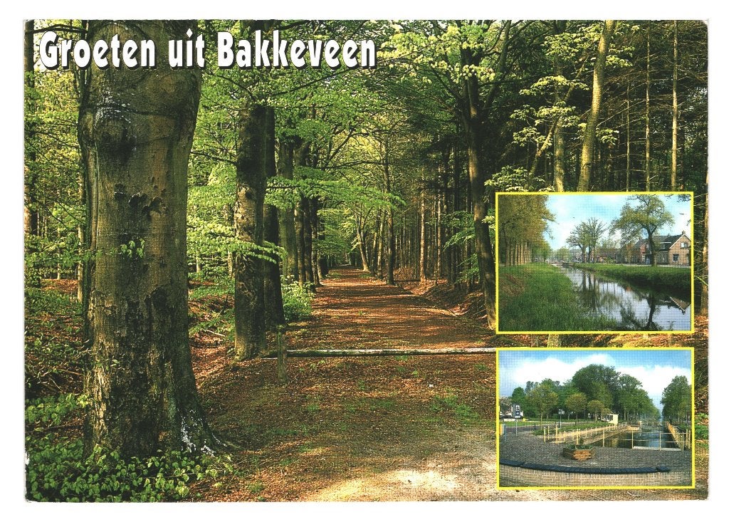 42748 Bakkeveen Friesland 80+ Gelopen met Postzegel, Ophalen of Verzenden, 1980 tot heden, Gelopen, Friesland