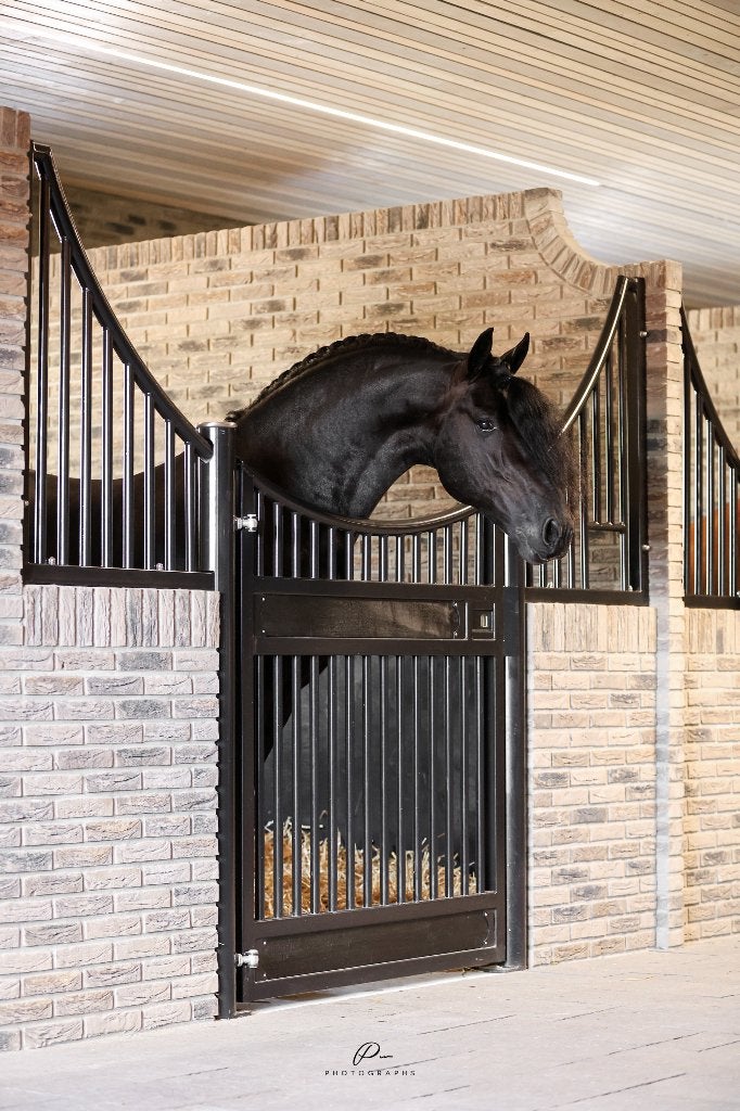 5 luxe paarden stallen, Dieren en Toebehoren, Stalling en Weidegang, Stalling, 4 paarden of pony's of meer