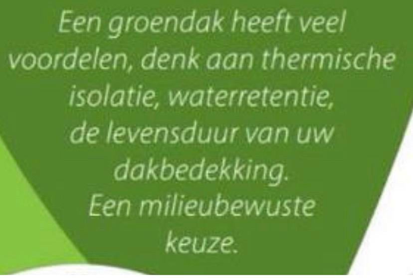 Sedum cassettes voor groendak maak het zelf, Ophalen of Verzenden, Overige soorten, Volle zon