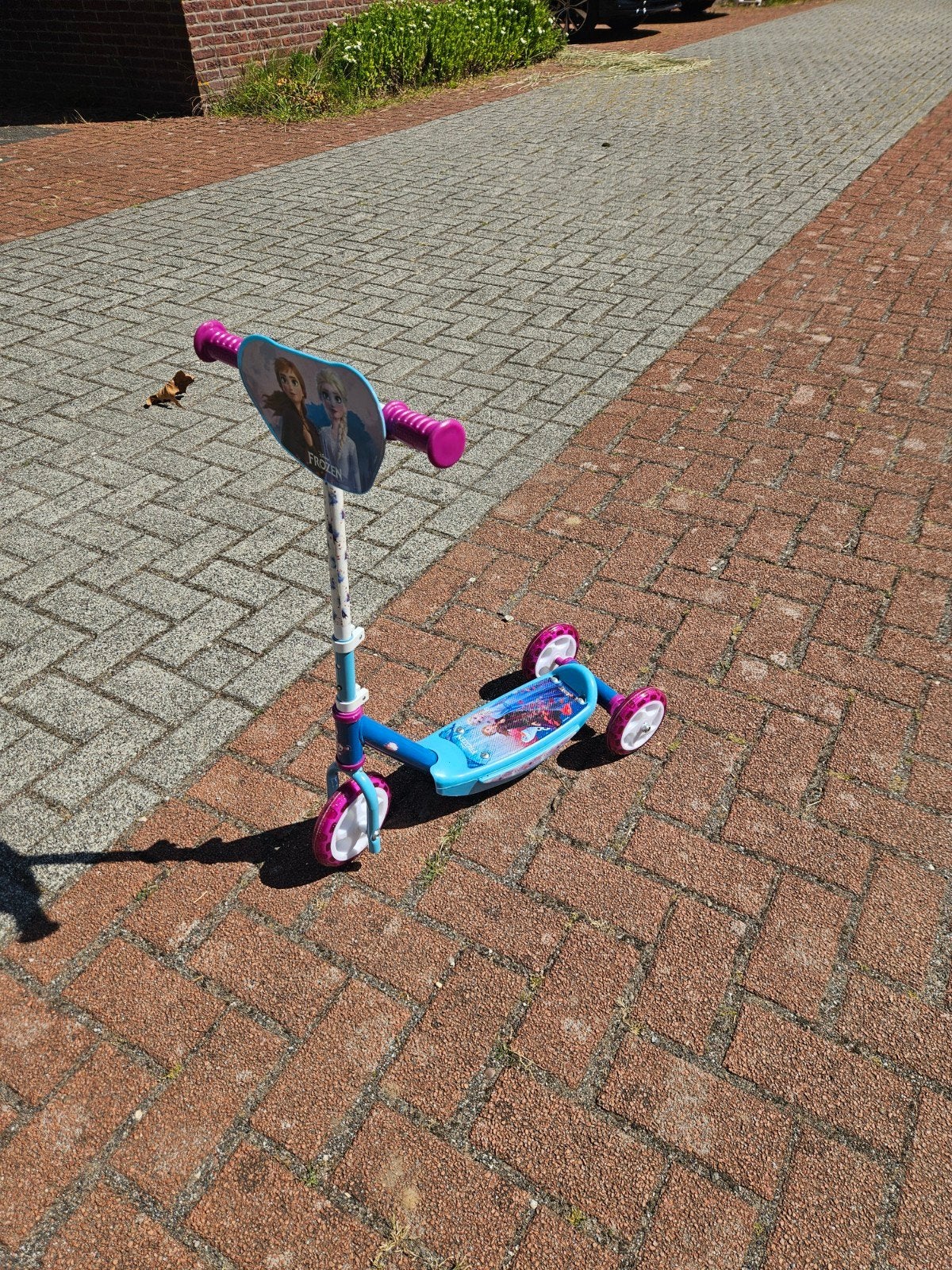 Frozen step voor kinderen, Ophalen, Gebruikt, Gewone step, Frozen