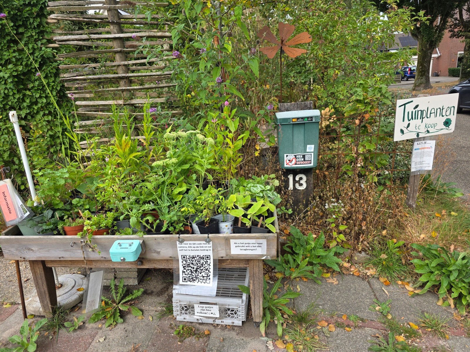 Tuinplanten biologisch gifvrij inheems, Ophalen, Minder dan 100 cm, Overige soorten, Lente