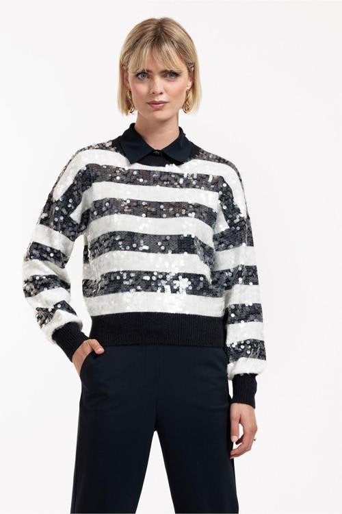 studio anneloes sequin streep trui nieuw, Studio Anneloes, Nieuw, Maat 36 (S), Meerkleurig