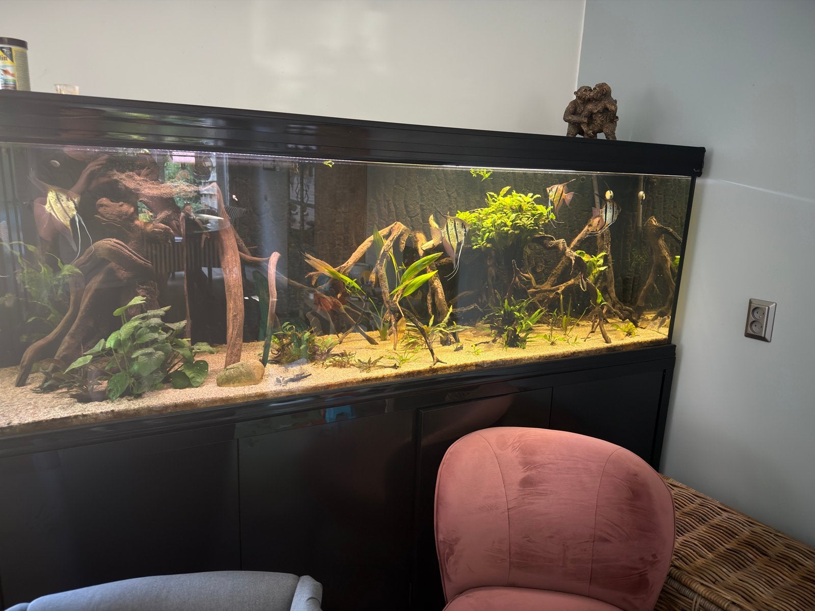 Aqualantis 2 meter, Ophalen, Zo goed als nieuw, Gevuld zoetwateraquarium, Aquatlantis