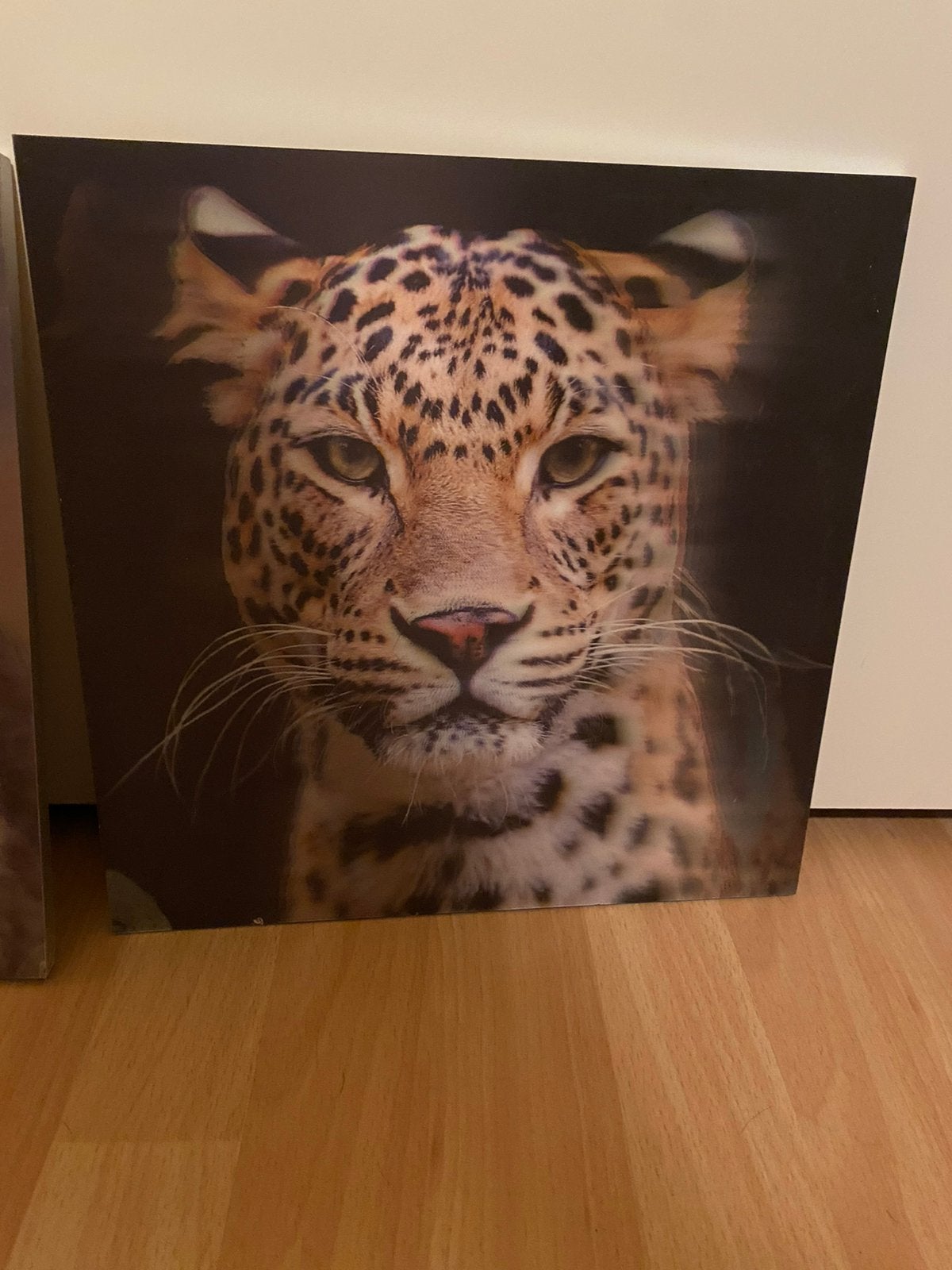 Woondecoratie 3D schilderij dieren, Minder dan 50 cm, Nieuw, Ophalen of Verzenden, Schilderij