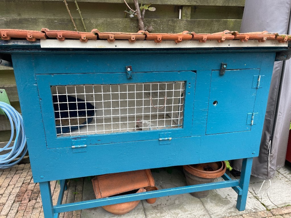 Konijnenhok buiten, Dieren en Toebehoren, Ophalen, Cavia, 90 cm of meer, Hok