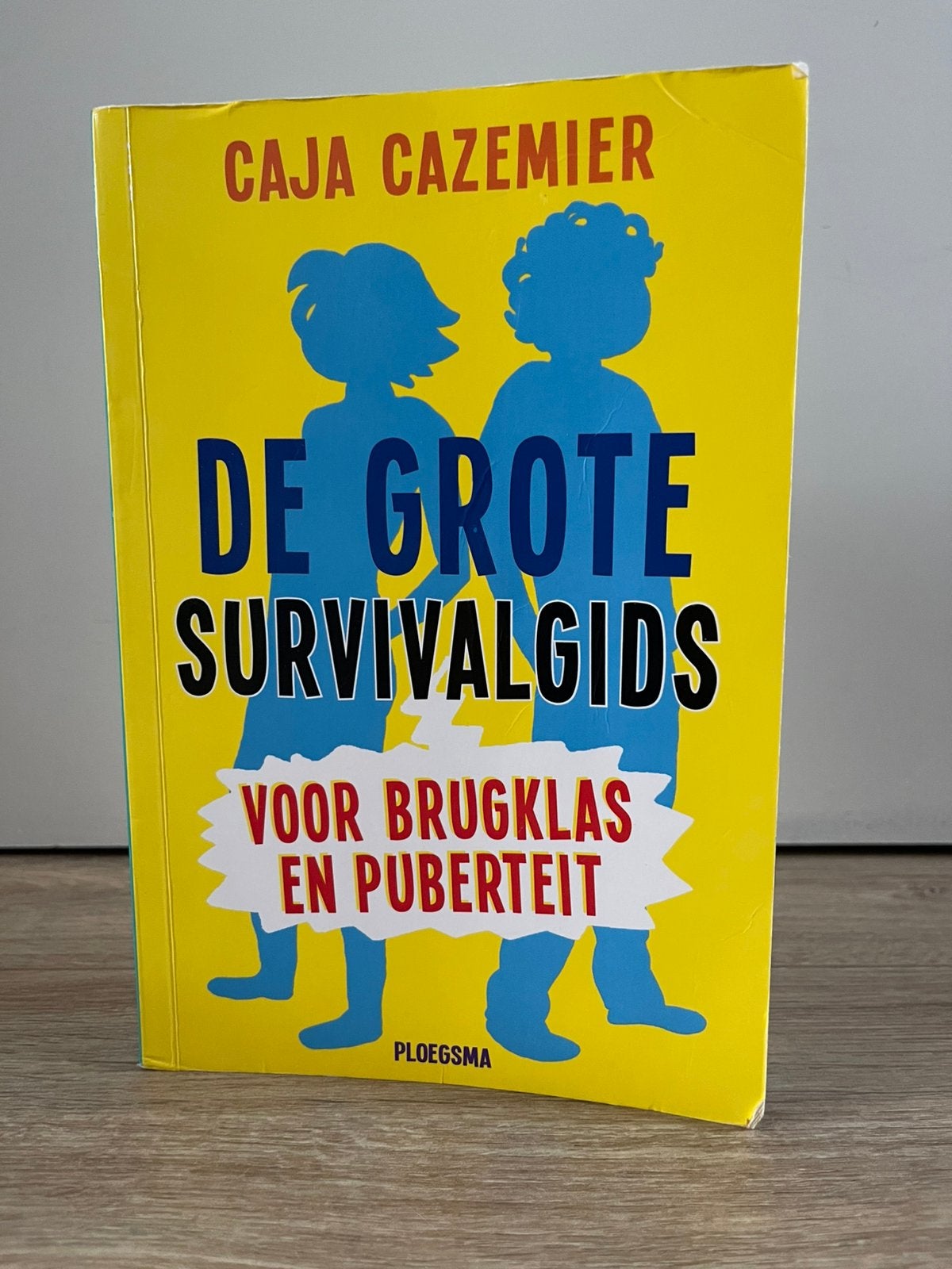 De grote survivalgids voor brugklas en puberteit, Ophalen of Verzenden, Gelezen