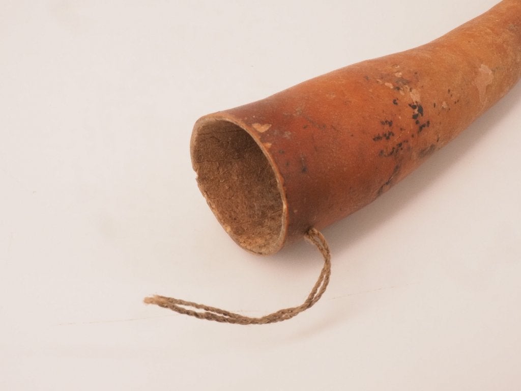 Kleinere Koteka (Peniskoker) Papua Nieuw Guinea (251212-08), 24 cm, Natuurlijk materiaal, Overige typen, Papoea-Nieuw-Guinea