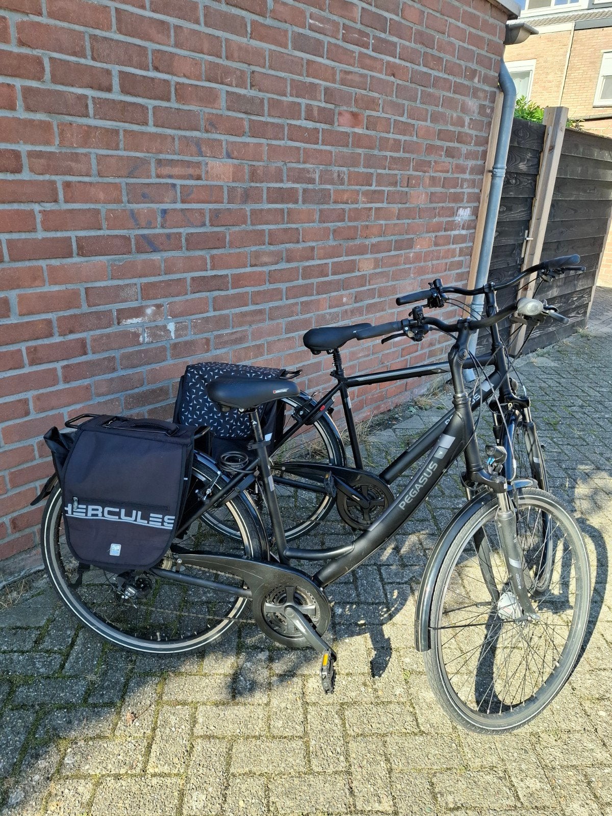zgan pegasus fietsen, dames en heren lichtgewicht als set, 47 tot 51 cm, Ophalen, Zo goed als nieuw, Overige merken