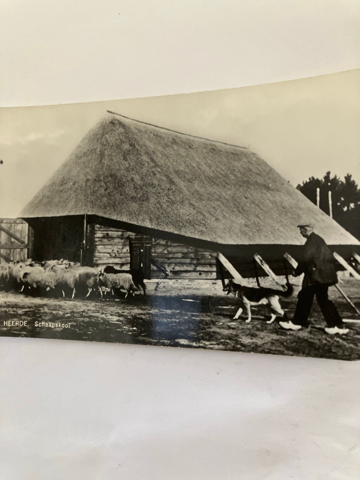 Oude Ansichtkaart Heerde Schaapskooi Gelderland, Ophalen of Verzenden, Voor 1920, Ongelopen, Gelderland