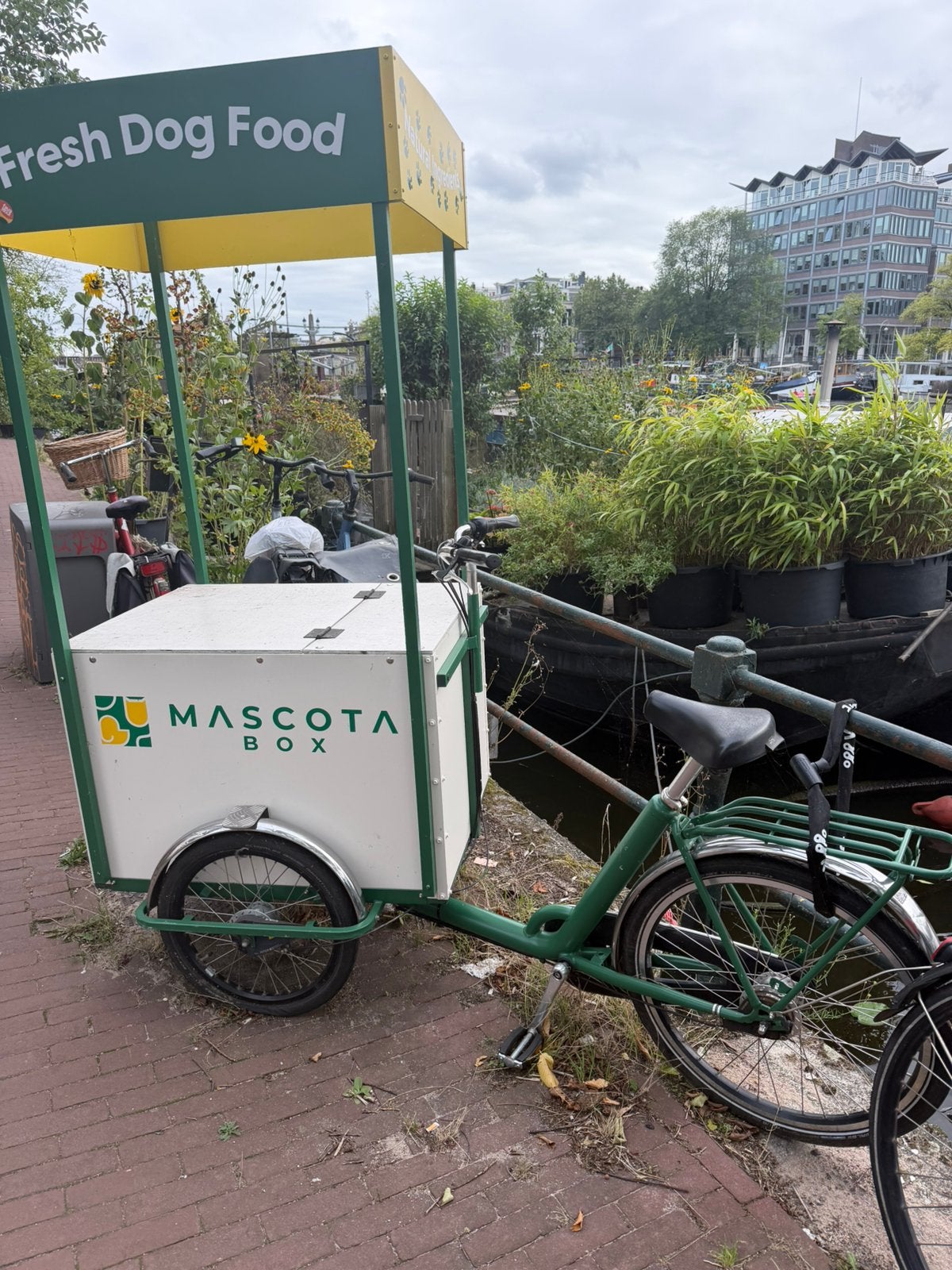 Reclame bakfiets/ijskar, Ophalen, Gebruikt, 4 kinderen of meer