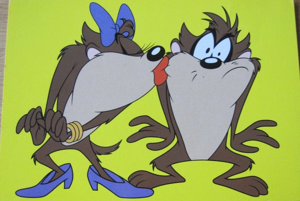 Nieuwe ansichtkaart van de Tasmanian devil, Verzamelen, Ophalen of Verzenden, 1980 tot heden, Ongelopen, Overige thema's