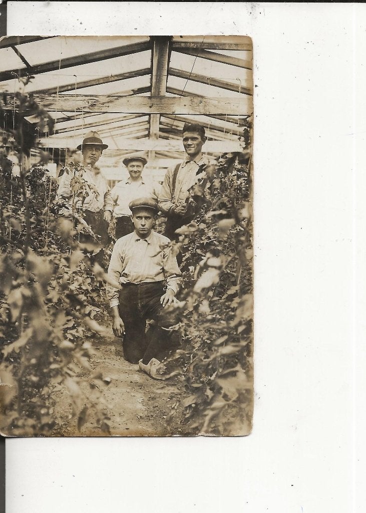 Wateringen Tomaten in kas C Zwinkels met personeel Fotokaart, Ophalen of Verzenden, 1920 tot 1940, Ongelopen, Zuid-Holland
