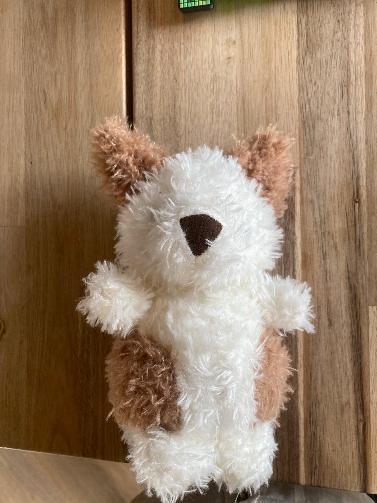 Jellycat little pup ( nep ), Overige merken, Overige karakters, Zo goed als nieuw, Middelgroot (20 tot 80 cm)