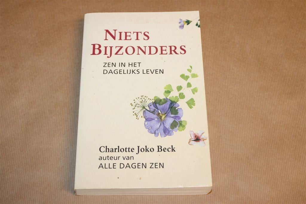 Niets Bijzonders — Zen-meditatie, Charlotte Joko Beck, Verzenden, Gelezen, Overige onderwerpen, Achtergrond en Informatie