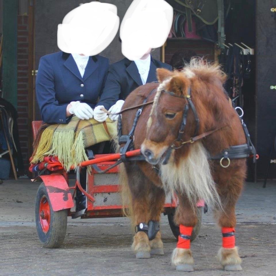 Pony- / Shetlander- kar, Ophalen, Gebruikt, Overige merken