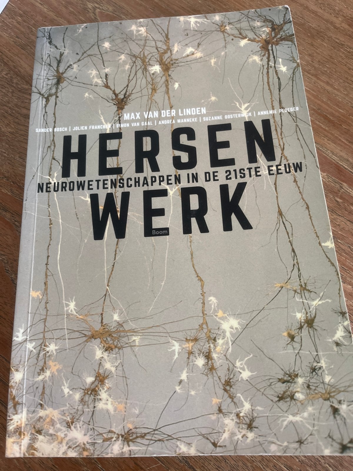 Hersenwerk: Neurowetenschappen in de 21e eeuw, Ophalen of Verzenden, Zo goed als nieuw, Natuurwetenschap
