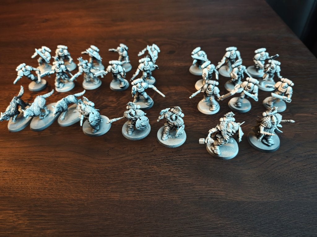 Warhammer 40k Space wolves - Battleforce units gebouwd, Ophalen of Verzenden, Warhammer