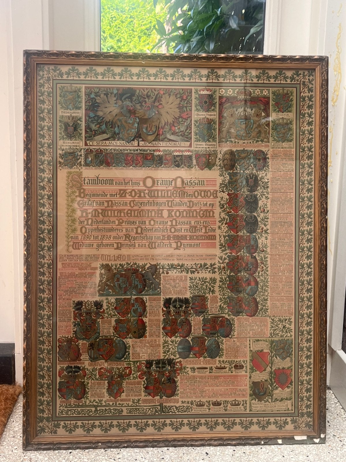 Stamboom van het huis Oranje Nassau 1900 Tiete van der Laars, Verzamelen, Ophalen of Verzenden, Voor 1940, Gebruikt, Overige onderwerpen