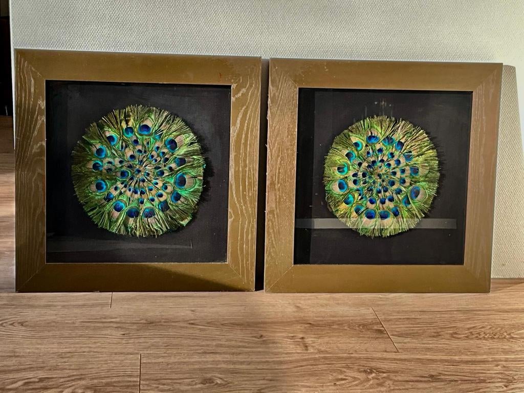 Schilderij van echte pauwenveren, Antiek en Kunst, Ophalen