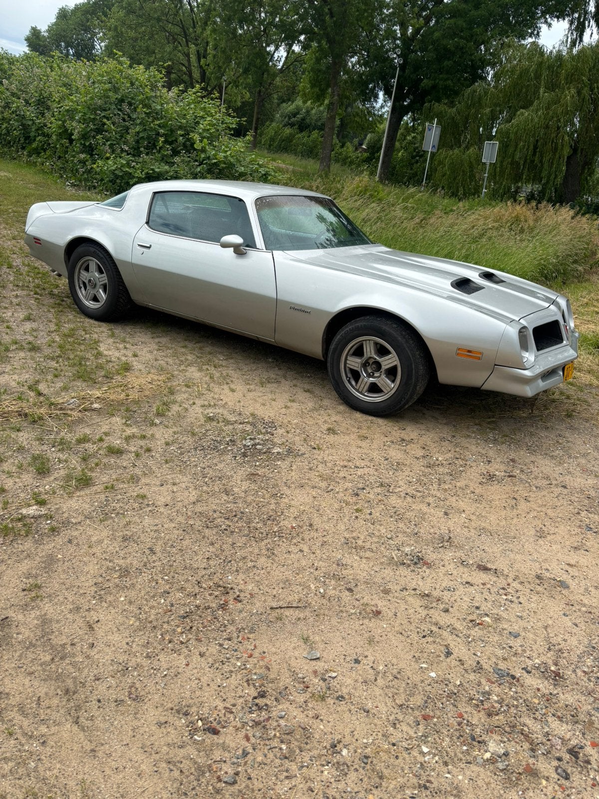 Pontiac firebird 1976 Grijs 6,6l, Auto's, Pontiac, 4 stoelen, 6555 cc, Particulier, 185 pk