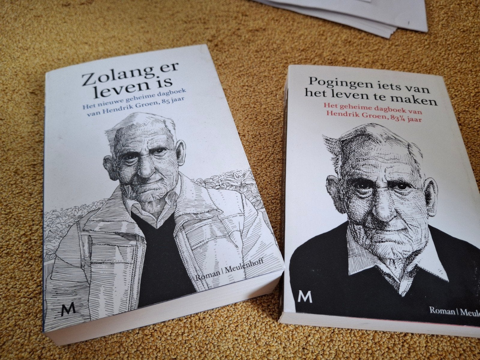 Hendrik Groen - Zolang er leven is, Boeken, Ophalen, Zo goed als nieuw, Hendrik Groen