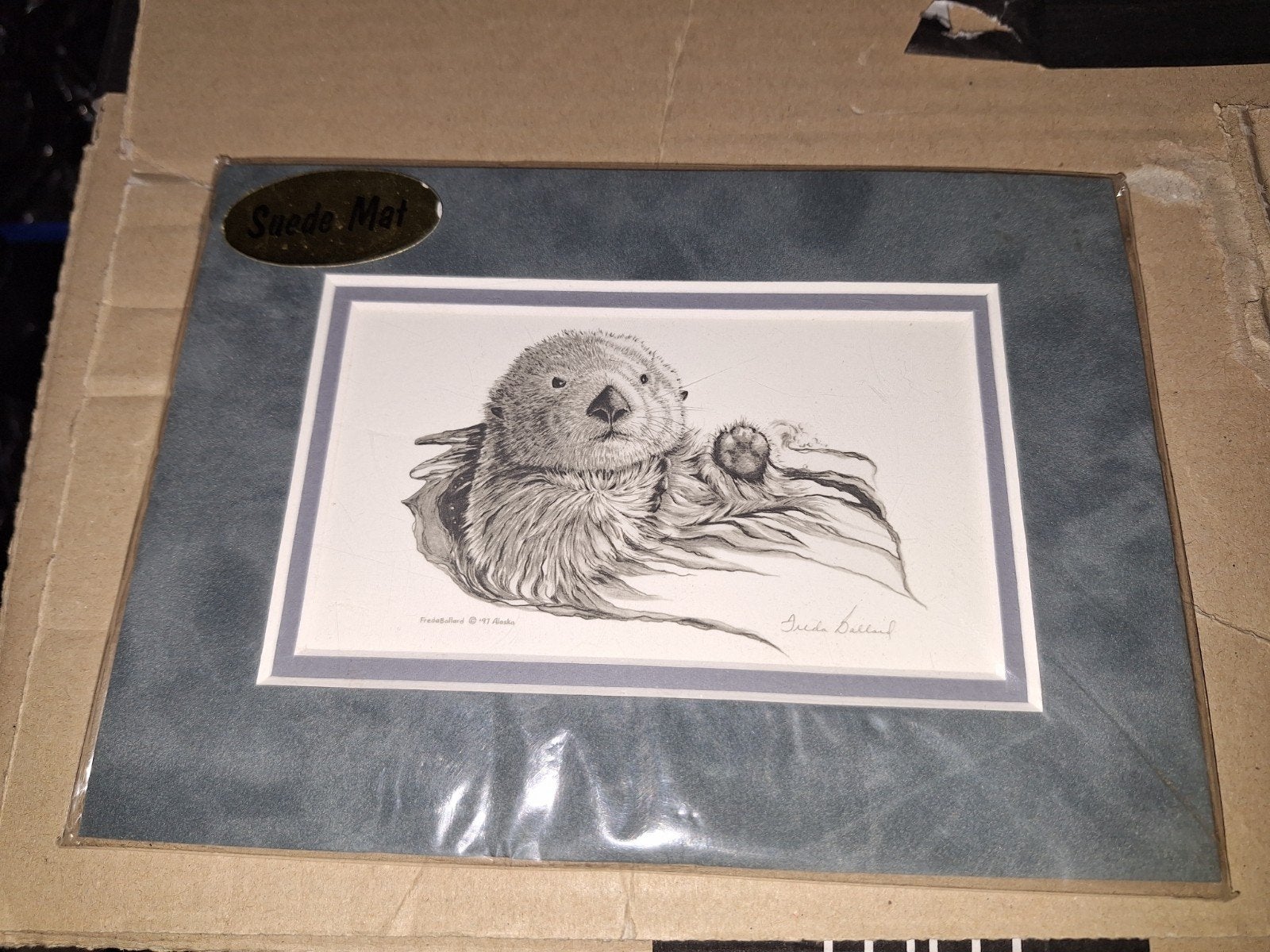 Nieuw mooie otter tekening in suede lijstje!, Minder dan 50 cm, Tekening, Nieuw, Ophalen of Verzenden